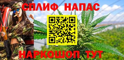 скорость Будённовск