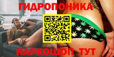 скорость Будённовск