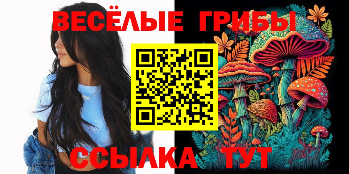 что такое наркотик  Псилоцибиновые грибы GOLDEN TEACHER  Вход с VPN  Аргун 
